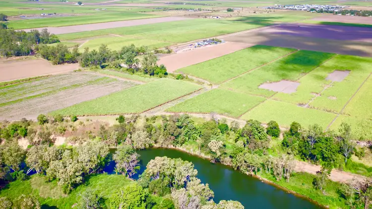 Seventh view of Homely rural property listing, 131 Walz Lane, Mirani QLD 4754