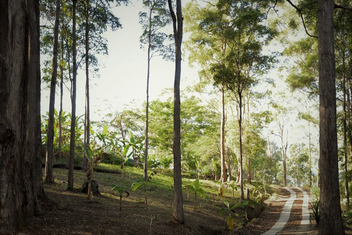 Main view of Homely land listing, 15 Pryor Road, Verrierdale QLD 4562