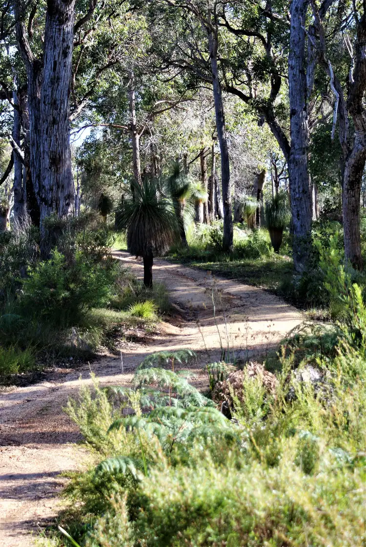 Seventh view of Homely house listing, 209 McLeod Road, Denmark WA 6333