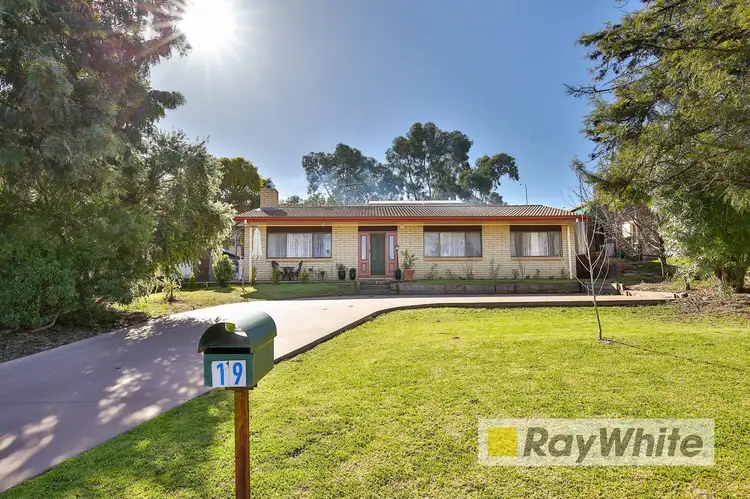 Main view of Homely house listing, 19 Riverview Drive, Dareton NSW 2717