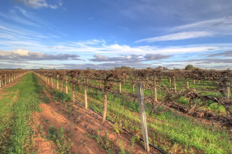 Second view of Homely rural property listing, 181 Lower Winkie Road, Glossop SA 5344