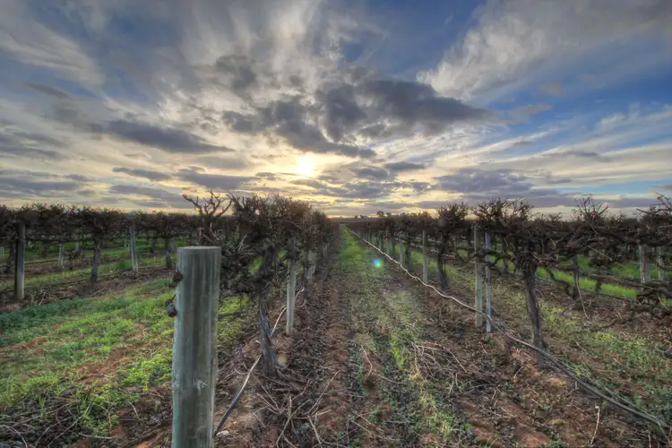 Third view of Homely rural property listing, 181 Lower Winkie Road, Glossop SA 5344