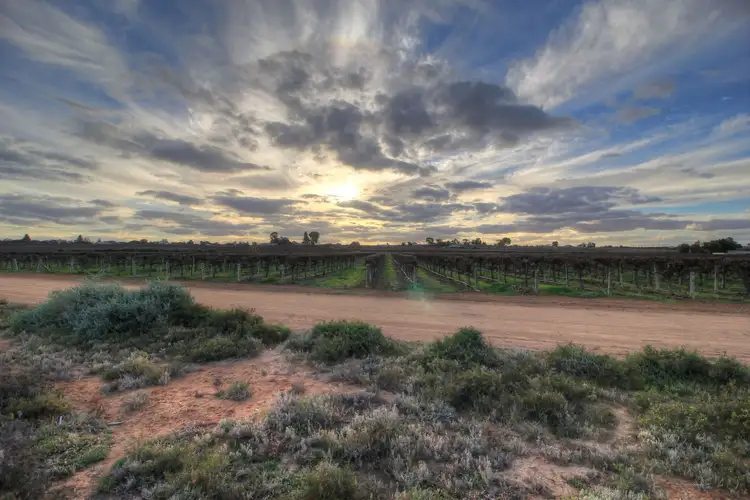 Fifth view of Homely rural property listing, 181 Lower Winkie Road, Glossop SA 5344