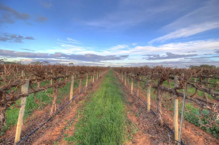 Seventh view of Homely rural property listing, 181 Lower Winkie Road, Glossop SA 5344