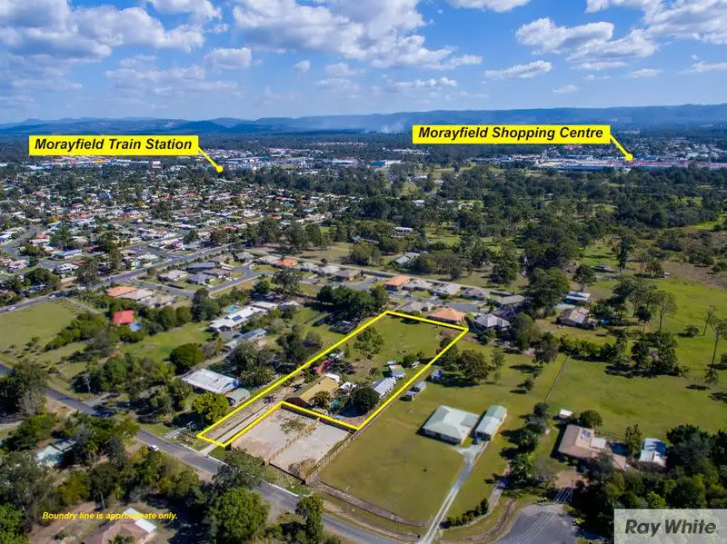 Main view of Homely house listing, Lot 3, 21 Devine Court, Morayfield QLD 4506