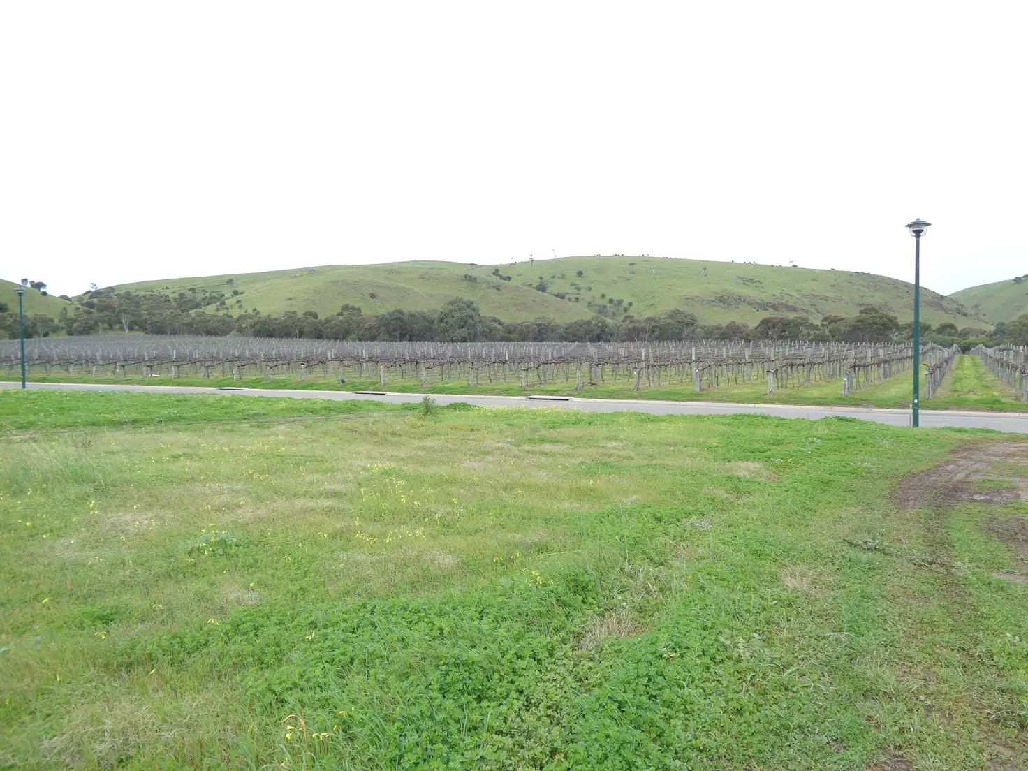 Main view of Homely land listing, Lot 238 The Vines Drive, Normanville SA 5204