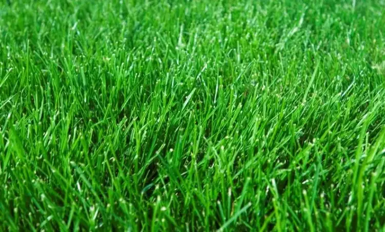 Second view of Homely land listing, Lot 833 Gracilis Rise, South Nowra NSW 2541