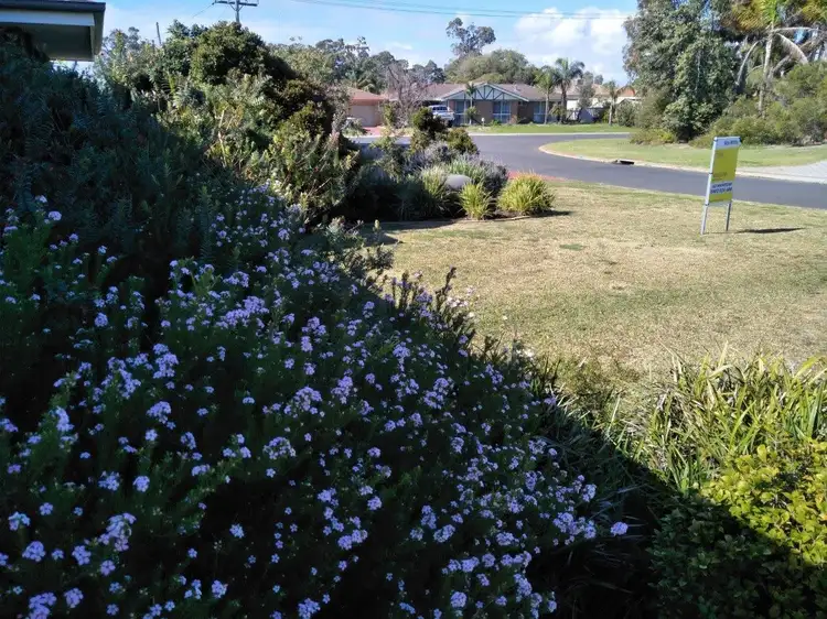 Fourth view of Homely house listing, 4 Coote Place, Usher WA 6230