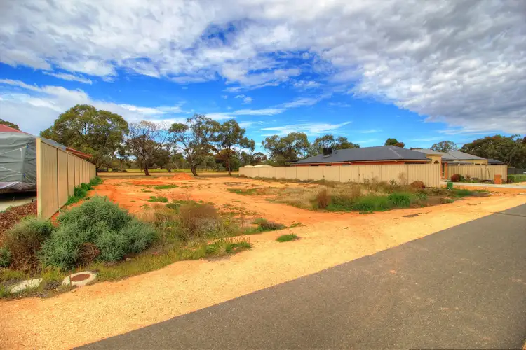 206 Nookamka Terrace, Barmera SA 5345
