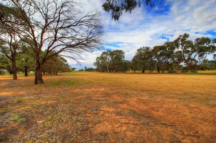 Sixth view of Homely land listing, 206 Nookamka Terrace, Barmera SA 5345