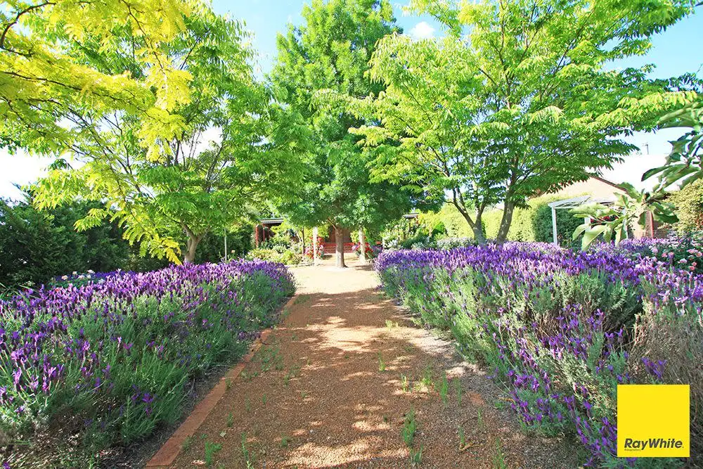 Main view of Homely house listing, 12 Lind Street, Gundaroo NSW 2620