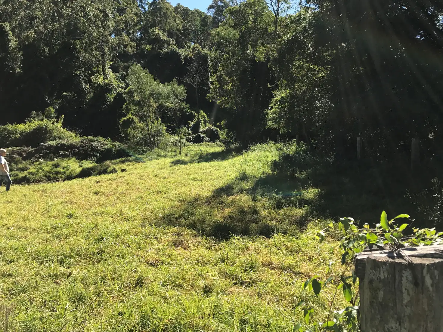 Main view of Homely rural property listing, 129 Quartpot Creek Road, Underbank NSW 2420