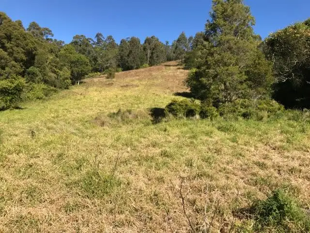 Second view of Homely rural property listing, 129 Quartpot Creek Road, Underbank NSW 2420