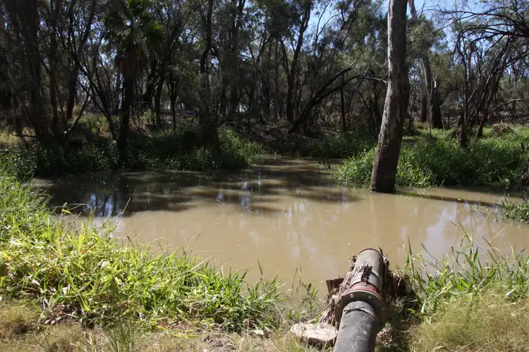 Third view of Homely rural property listing, 0 Freemans Road, Theodore QLD 4719
