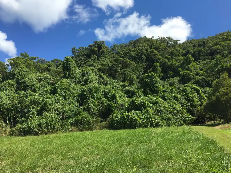 Second view of Homely land listing, Lot 11 De Meio Drive Via Wonga Beach, Wonga Beach QLD 4873