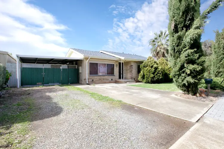 Main view of Homely house listing, 20 Tidworth Road, Elizabeth North SA 5113