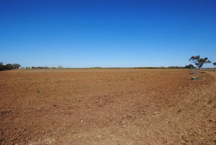 Third view of Homely rural property listing, Farm 1080 Bonomi Road, Willbriggie NSW 2680