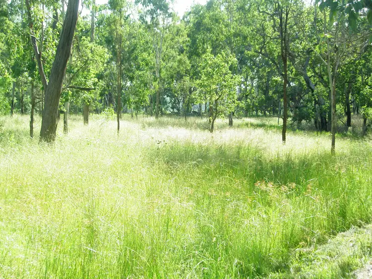Fifth view of Homely rural property listing, LOT 73 Maidenwell-Cooyar Road, Maidenwell QLD 4615