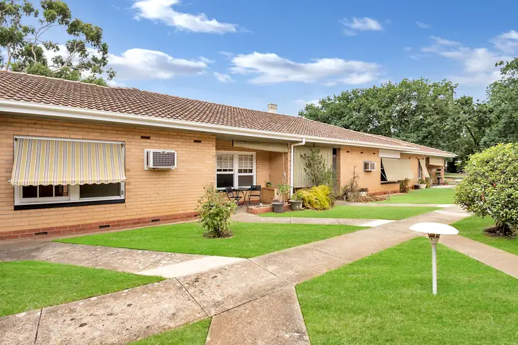 Main view of Homely unit listing, 3/53 Alexandra Avenue, Rose Park SA 5067