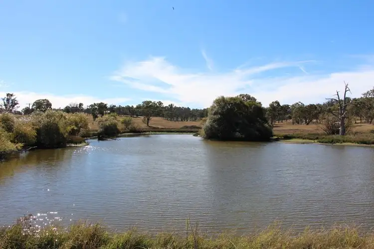 Second view of Homely rural property listing, Trequean 1490 Grafton Road, Armidale NSW 2350