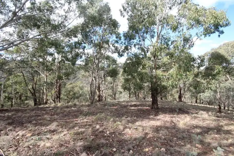 Sixth view of Homely rural property listing, 381 Sheepstation Forest Road, Oberon NSW 2787