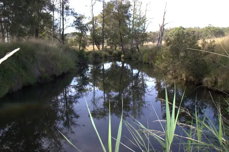 Fifth view of Homely rural property listing, ."NYINAMA" NEWELL Highway, Coonabarabran NSW 2357