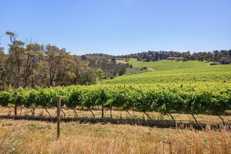 Fifth view of Homely rural property listing, 40 Howards Road, Panton Hill VIC 3759