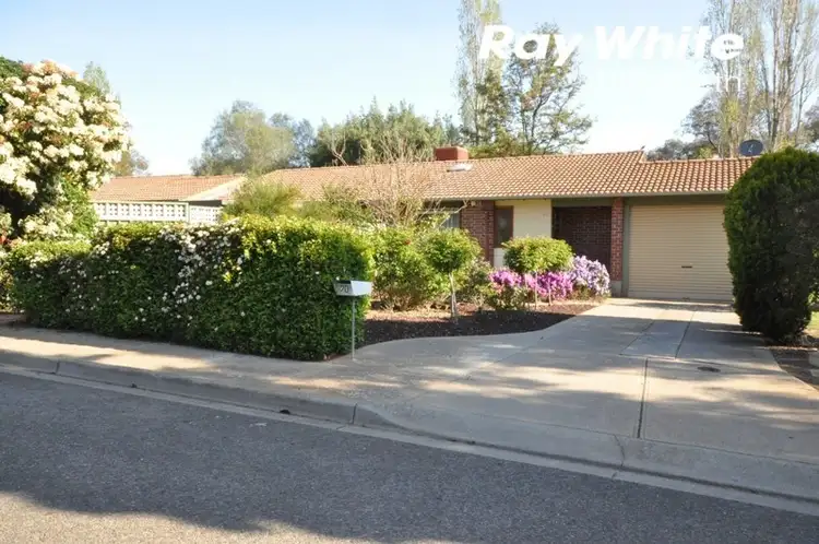 Second view of Homely house listing, 20 Toolunga Court, Elizabeth Park SA 5113