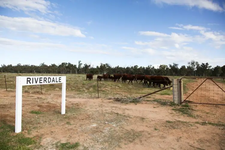 'Riverdale' Murrumbidgee River Road, Carrathool NSW 2711