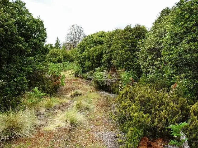 Sixth view of Homely rural property listing, Lot 2 Main Road, Waratah TAS 7321