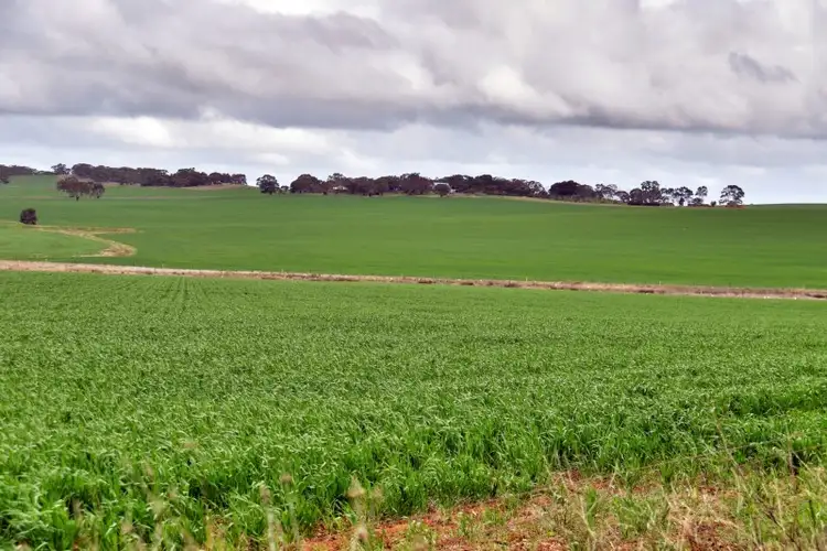 Second view of Homely rural property listing, "The Ridge" Barrier Highway, Manoora SA 5414