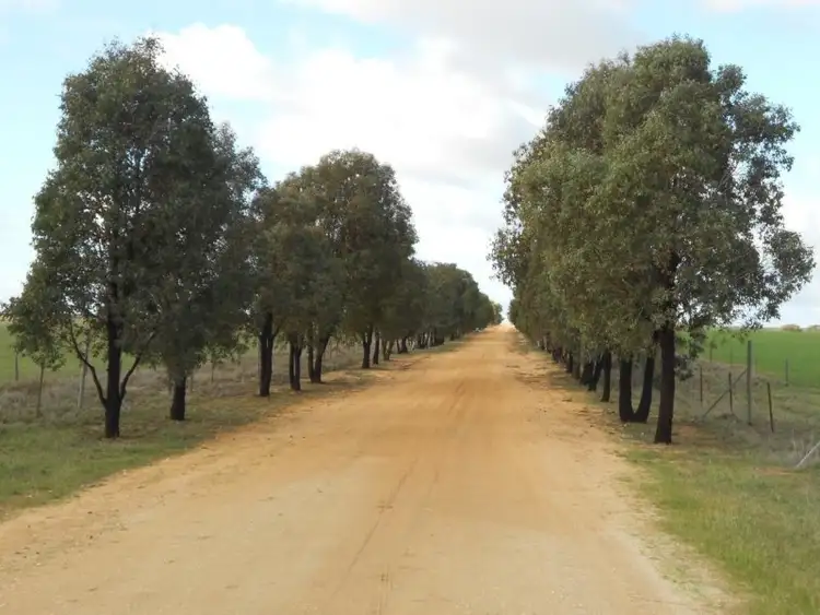 Second view of Homely rural property listing, 546 Kirra Road, Keith SA 5267