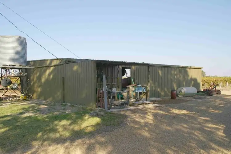 Fifth view of Homely house listing, 31 Wren Street, Renmark SA 5341