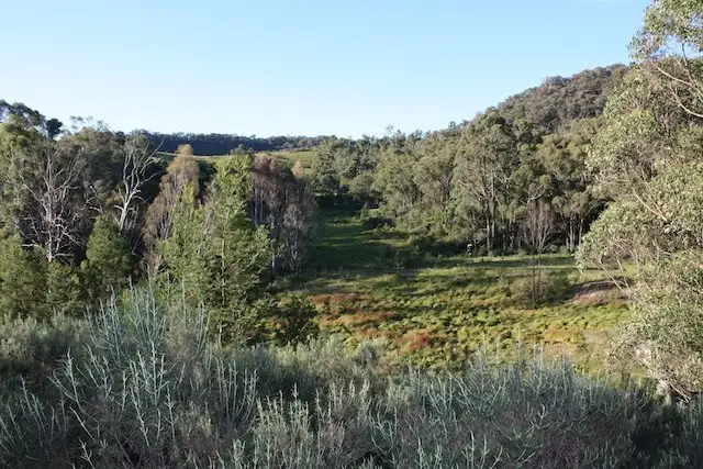 Seventh view of Homely rural property listing, Lot 8/60 Megalong Lane, Canyonleigh NSW 2577