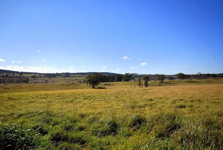 Fifth view of Homely rural property listing, 10313 Nerriga Road, Braidwood NSW 2622