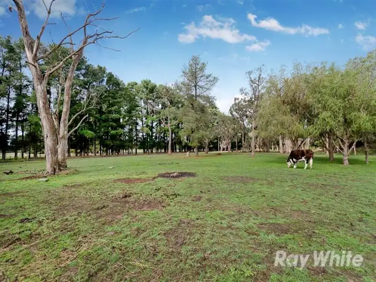 Seventh view of Homely rural property listing, 31 Boes Road, Tyabb VIC 3913