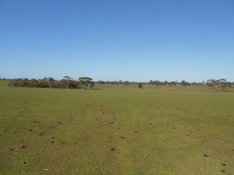 Second view of Homely rural property listing, 18241 Dukes Highway, Bordertown SA 5268