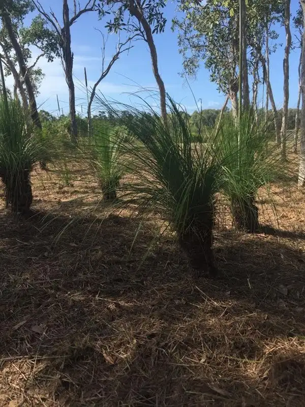 Fifth view of Homely land listing, Lot 29 Conder Parade, Laguna Quays QLD 4800