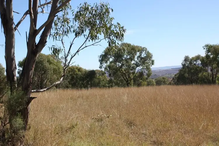 Sixth view of Homely rural property listing, Lot 37 Pinnacle Road, Forest Springs, Allora QLD 4362