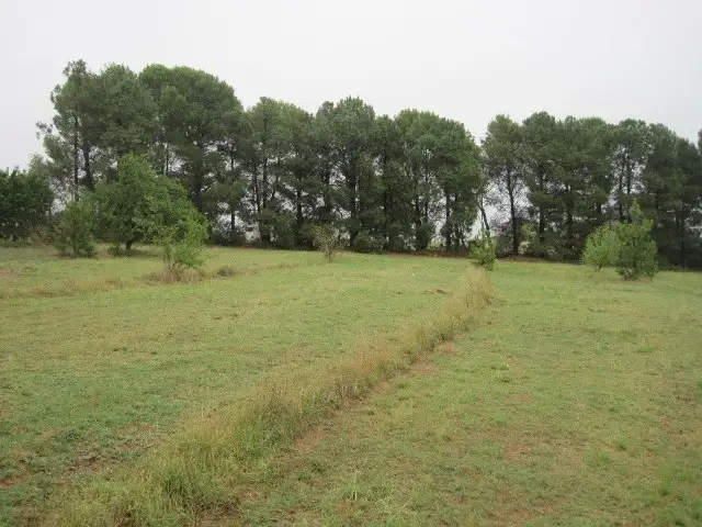 Third view of Homely house listing, 15 McCaffery Lane, Young NSW 2594