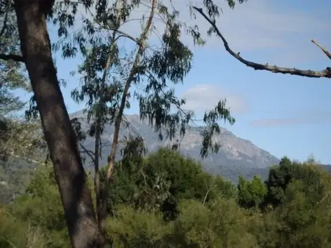 Main view of Homely land listing, 6930 Great Alpine Road, Porepunkah VIC 3740