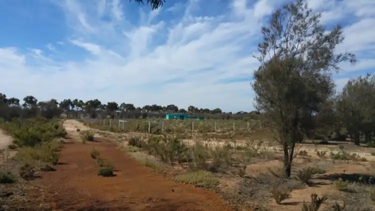 Fifth view of Homely land listing, 37 Kankine Street, Dumbleyung WA 6350