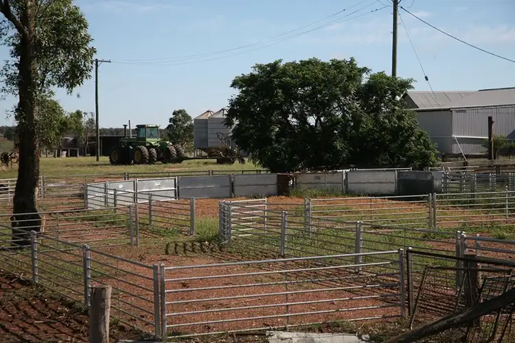Fourth view of Homely rural property listing, 0" Euligal" Euligal Lane, Condobolin NSW 2877