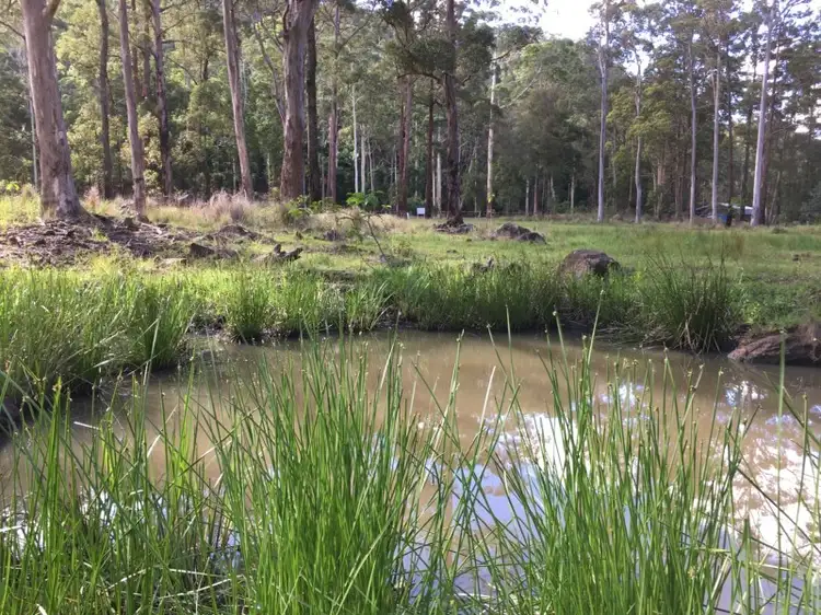 Main view of Homely land listing, Lot11/905K Main Western Road, Tamborine Mountain QLD 4272