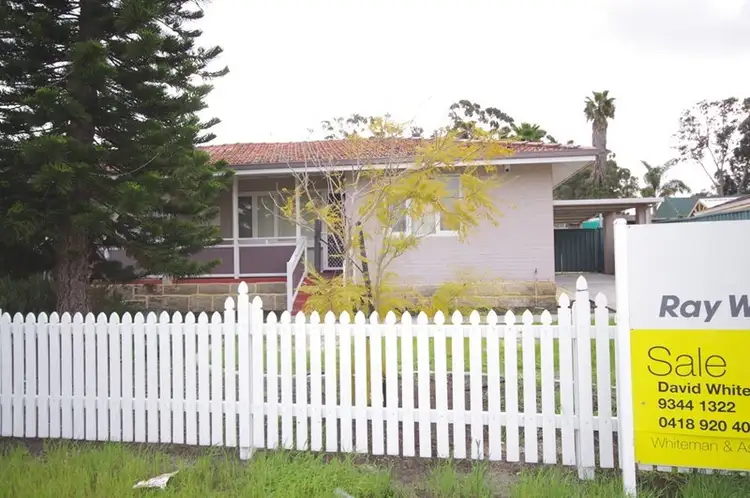Main view of Homely house listing, 37B Montrose Avenue, Girrawheen WA 6064