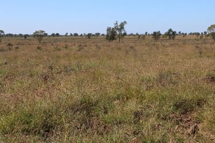 Sixth view of Homely rural property listing, 0 DRUMFERN, Roma QLD 4455