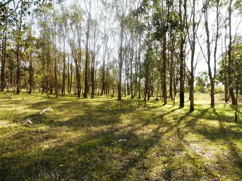 Main view of Homely rural property listing, Lot 25 Ironbark Lane, Nulkaba NSW 2325