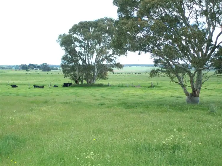 Main view of Homely rural property listing, 57 School Road, Wallacedale VIC 3303