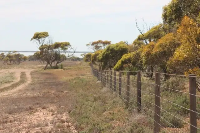 Seventh view of Homely rural property listing, 4 Sections Hundred of Playford, Cowell SA 5602