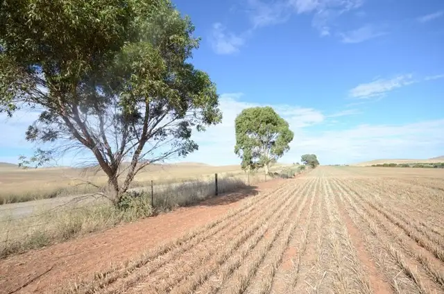 Main view of Homely rural property listing, Lot 446 Carmody Road, Leighton SA 5417